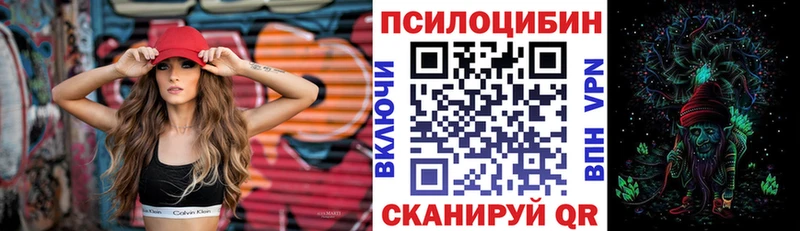 Галлюциногенные грибы Cubensis  Купить закладки  Нерюнгри 